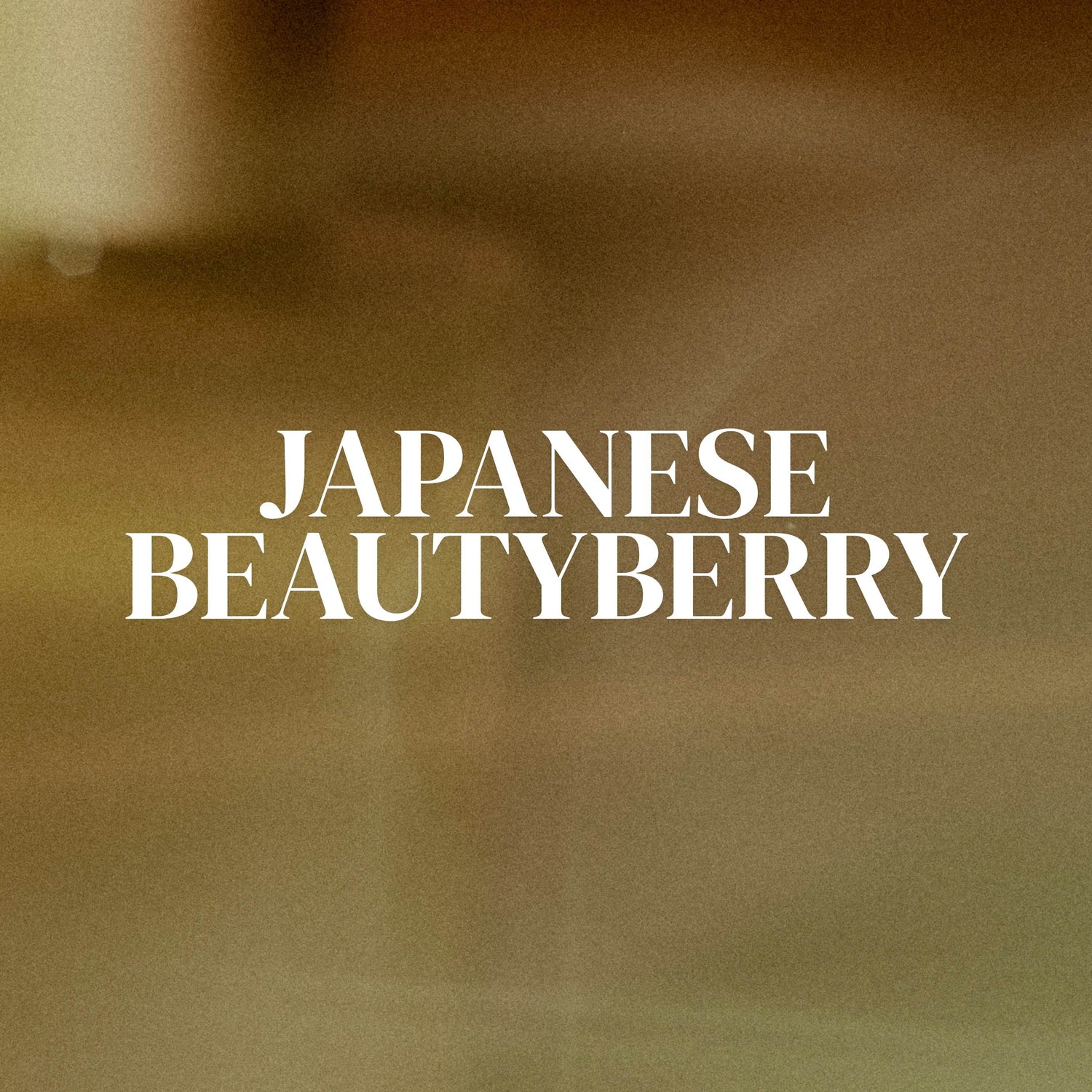 Japanese Beautyberry