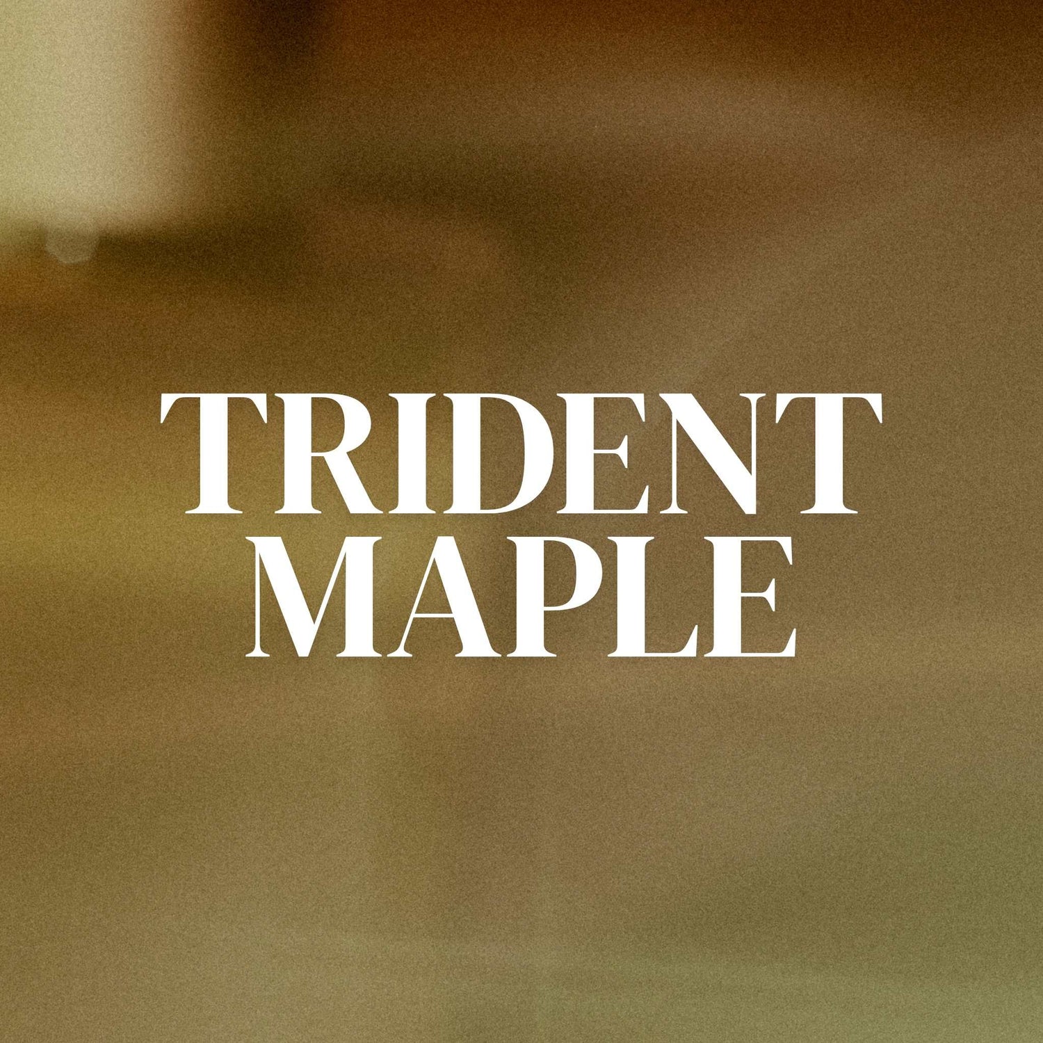 Trident Maples